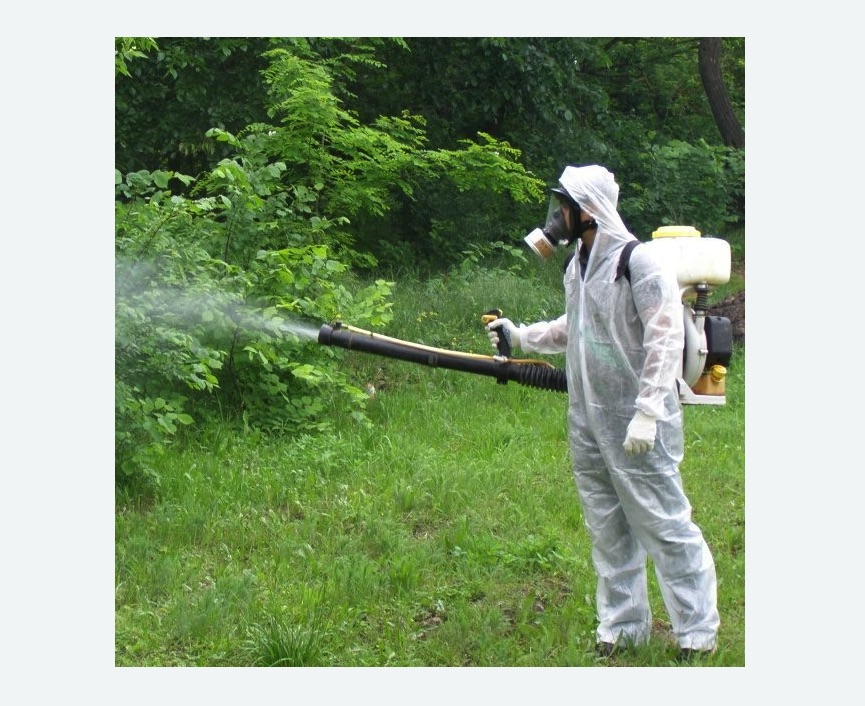 обработка территории от клещей в Киржаче