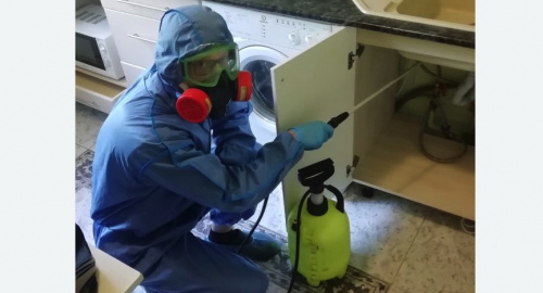 Уничтожение муравьев в квартире. Киржач