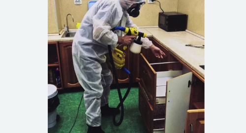 Уничтожение насекомых в квартире. Киржач