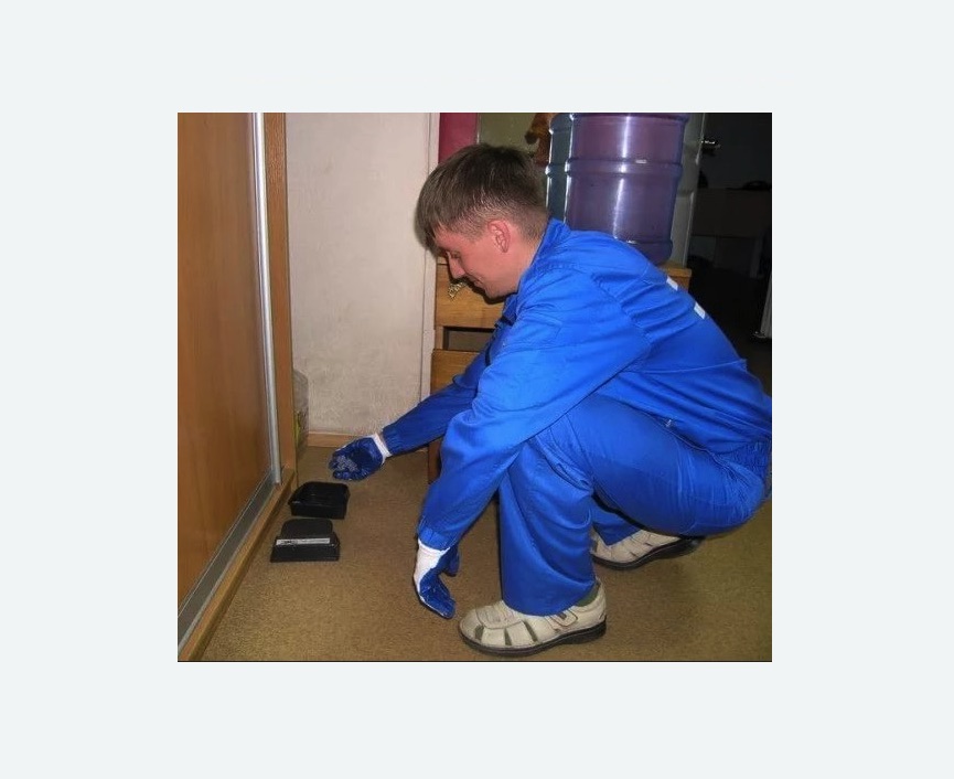 Дератизация крыс в Киржаче