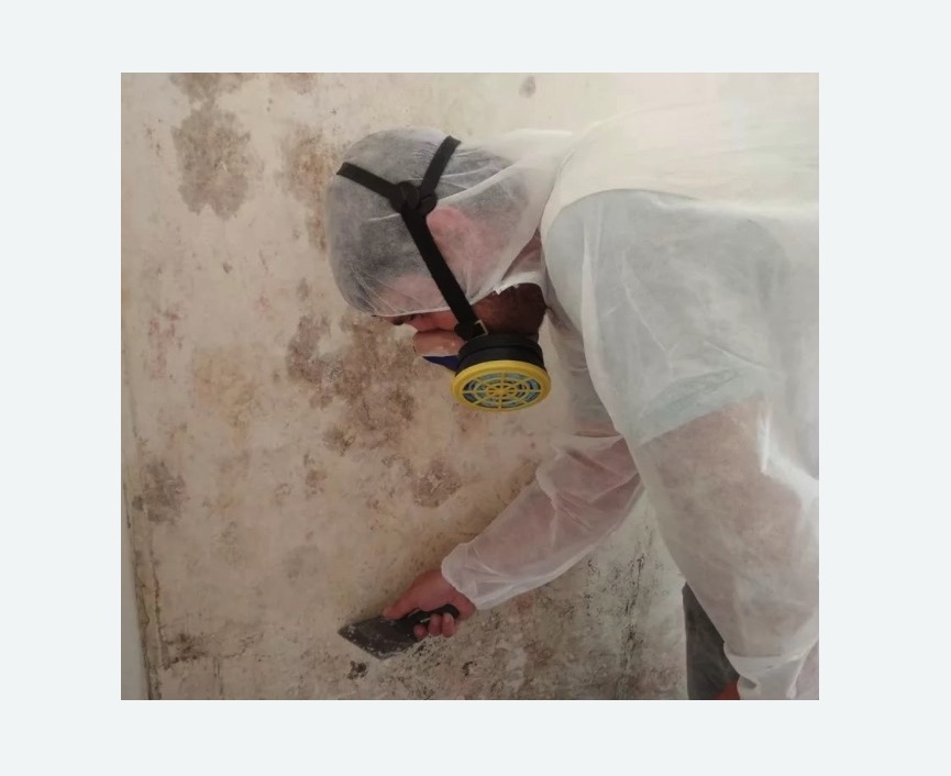 Обработка стен от плесени в Киржаче