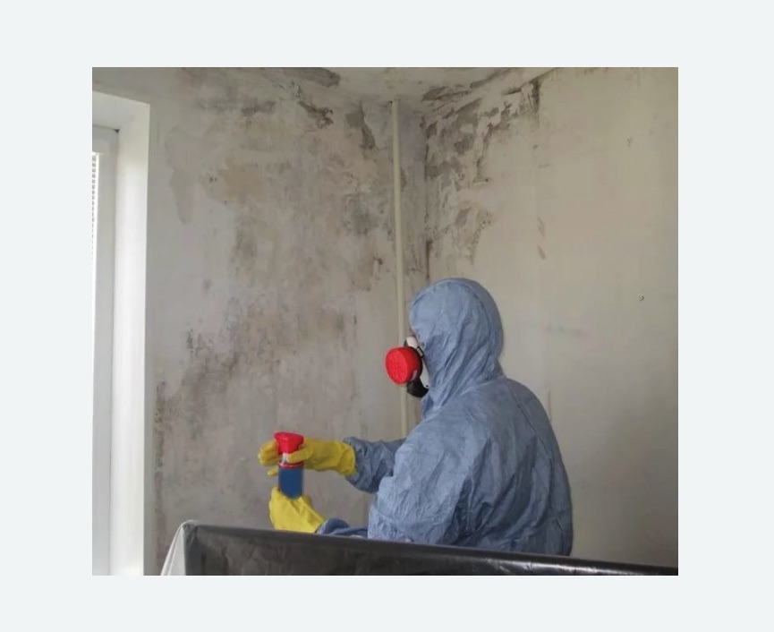 Удаление плесени в квартире в Киржаче