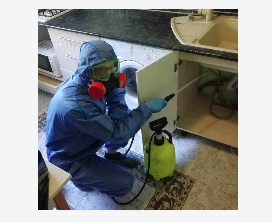 обработка от муравьев в квартире в Киржаче