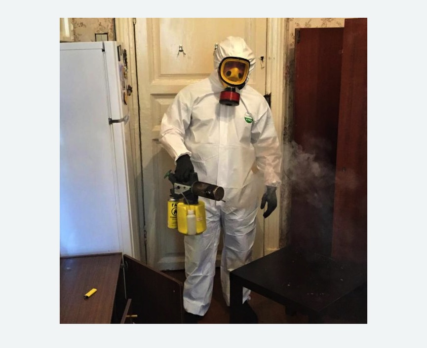 уничтожение муравьев в квартире в Киржаче